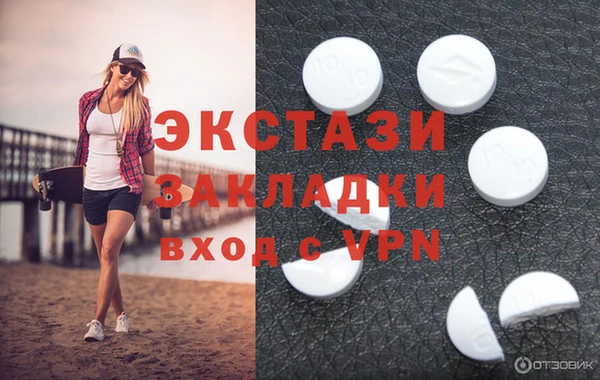 гидра Михайловка