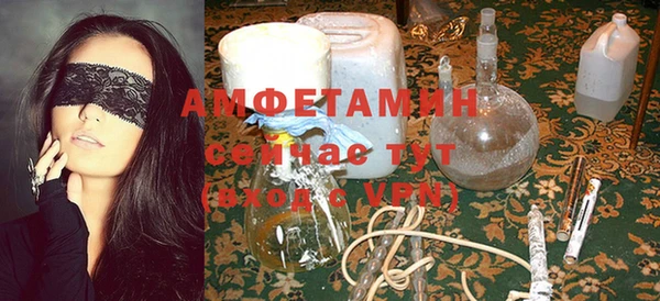 гидра Михайловка