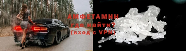 гидра Михайловка