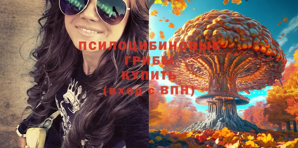 таблы Рославль