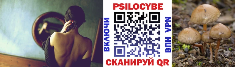 Псилоцибиновые грибы Psilocybine cubensis купить блэк спрут рабочий сайт Нарьян-Мар