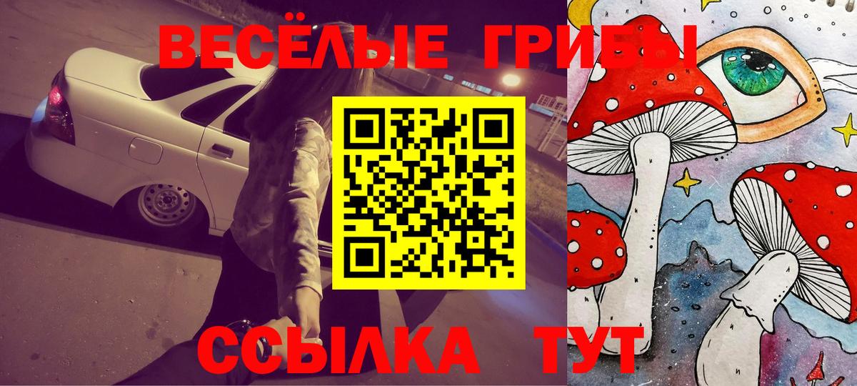 Галлюциногенные грибы MAGIC MUSHROOMS Нарьян-Мар
