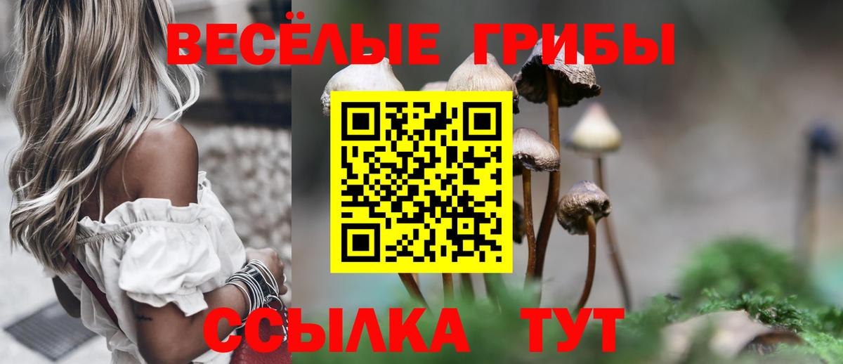 Галлюциногенные грибы мицелий  Вход с VPN  где можно купить наркотик  Псилоцибиновые грибы MAGIC MUSHROOMS  Нарьян-Мар 